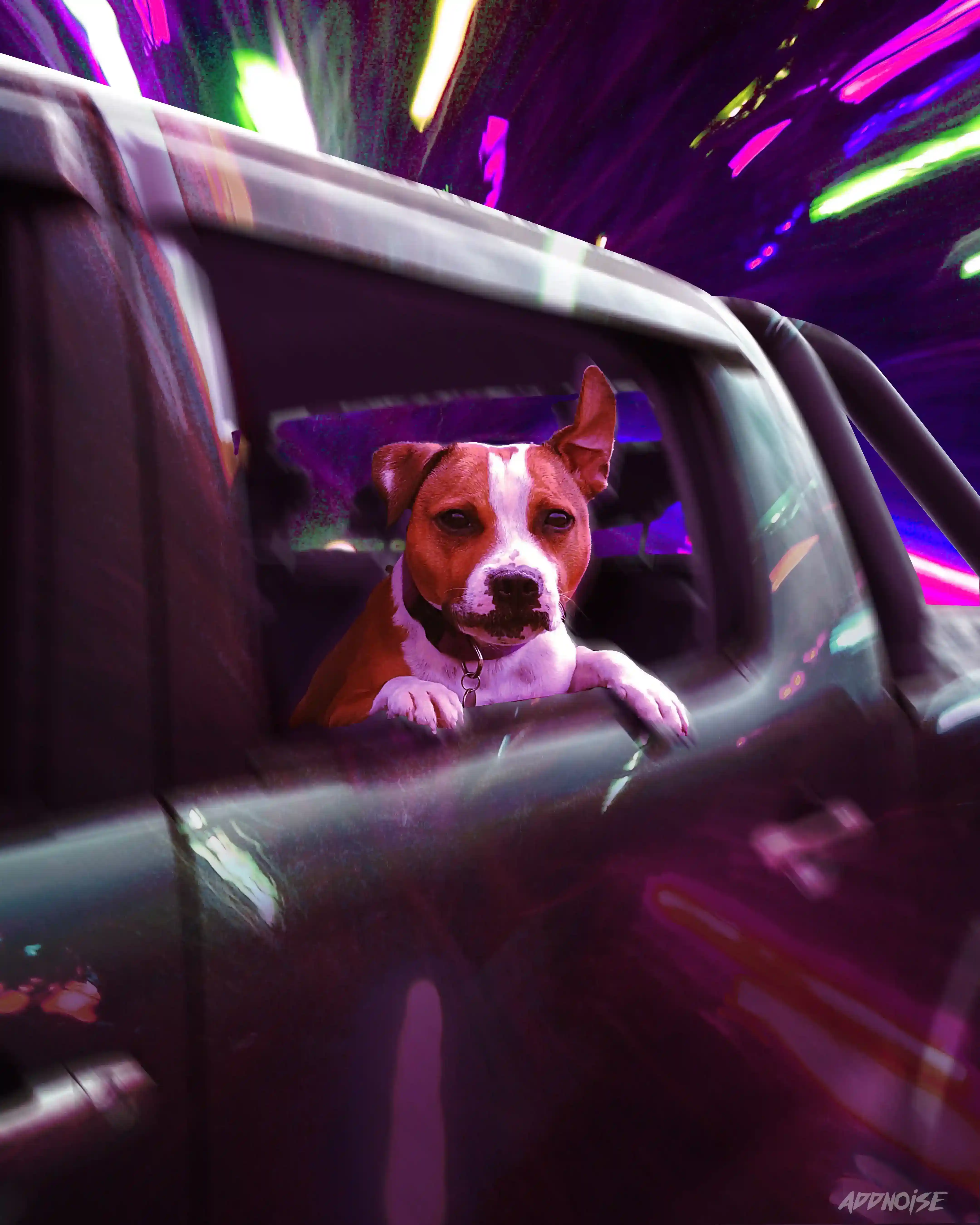 dogincar